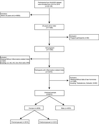 Systematic analysis between inflammation-related index and sex hormones in American adults: cross-sectional research based NHANES 2013-2016